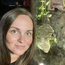 ���������� �����-���������, ���� ������� ��������, 41 ���, ������������ ��� ������, ����� � ���������