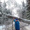 ���������� ������, ���� ������� �����, 37 ���, ������������ 