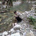 ���������� �������, ���� ������� ����, 36 ���, ������������ ��� ������, ����� � ���������, c�������� ���������, ���������