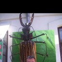  ,   , 38 ,   ,   , c , 