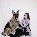  ,   , 21 ,  