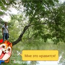 ���������� ������������, ���� ������� �������, 42 ����, ������������ ��� ������