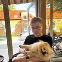 ���������� �����������, ���� ����� ����, 22 ����, ������������ ��� ����� � ���������, c�������� ���������