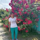 ���������� ���������, ���� ������� ���, 38 ���, ������������ ��� ����� � ���������, ���������