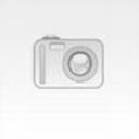 ���������� ����, ���� ������� ��������, 41 ���, ������������ ��� ������