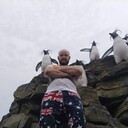 ���������� ��������, ���� ������� ����������, 44 ����, ������������ ��� ������, ����� � ���������