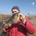 ���������� ������, ���� ������� ���, 44 ����, ������������ ��� ������, ����� � ���������, c�������� ���������, ���������