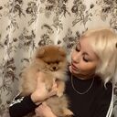 ���������� ������, ���� ������� ������, 49 ���, ������������ ��� ������, ����� � ���������, c�������� ���������