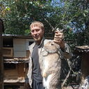 ���������� ������, ���� ������� ����������, 44 ����, ������������ ��� ������, ����� � ���������, c�������� ���������