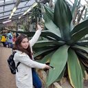 ���������� ������-��-����, ���� ������� ����, 25 ���, ������������ ��� ������, ����� � ���������