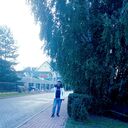 ���������� ������, ���� ������� ������, 41 ���, ������������ ��� ������, ����� � ���������