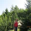  ,   , 65 ,     , c 