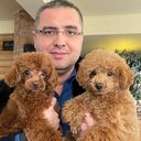 ���������� ������, ���� ������� �����, 53 ����, ������������ ��� ����� � ���������, c�������� ���������