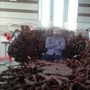  ,   , 41 ,   ,   