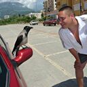 ���������� ���������, ���� ������� Ҹ���, 41 ���, ������������ ��� ������, ����� � ���������