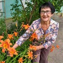 ,   , 65 ,  