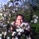 ���������� �������, ���� ������� ����, 50 ���, ������������ ��� c�������� ���������