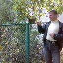  ,   , 51 ,   ,   , c 