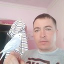  ,   Shamil, 40 ,   ,   , c 
