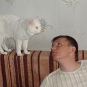  ,   , 42 ,   ,   , c 