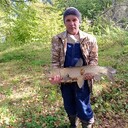  ,   , 49 ,  