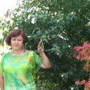 ���������� ���������� �����, ���� ������� ������, 56 ���, ������������ ��� ������, ����� � ���������, c�������� ���������