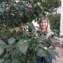  ,   , 44 ,     , c 