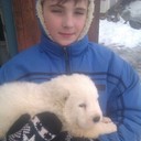 ���������� ��������, ���� ������� �������, 52 ����, ������������ ��� ������, ����� � ���������, c�������� ���������