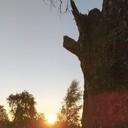 ���������� �����-���������, ���� ����� ���, 24 ����, ������������ ��� ����� � ���������, ���������