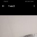 ���������� �����, ���� ������� ����, 37 ���, ������������ ��� c�������� ���������