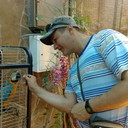 ���������� ���������, ���� ������� �������, 50 ���, ������������ ��� ������, ����� � ���������, c�������� ���������