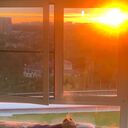 ���������� ��������, ���� ������� �����, 38 ���, ������������ ��� ������, ����� � ���������