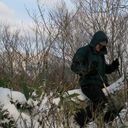 ���������� ������������, ���� ������� �����, 41 ���, ������������ ��� ������, ���������