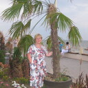  -,   , 61 ,   ,   , c 
