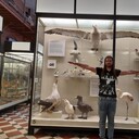 ���������� �����-���������, ���� ������� �����, 40 ���, ������������ ��� ������, ����� � ���������