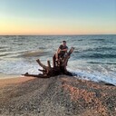 ���������� ���������, ���� ������� ����, 43 ����, ������������ ��� ������, ����� � ���������