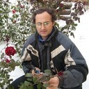 ���������� ����, ���� ������� �����, 49 ���, ������������ ��� ������, ����� � ���������