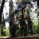 ���������� �������, ���� ������� �����, 36 ���, ������������ 