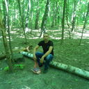 ���������� ������, ���� ������� Gheorghe, 39 ���, ������������ ��� ������, ����� � ���������, c�������� ���������