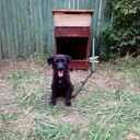 ���������� ������, ���� ������� ����, 44 ����, ������������ ��� ������, ����� � ���������, c�������� ���������, ���������