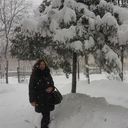 ���������� ���������, ���� ������� ������, 33 ����, ������������ 