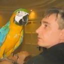 ���������� �������, ���� ������� ���������, 56 ���, ������������ ��� ������, ����� � ���������, c�������� ���������