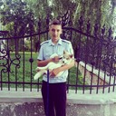 ���������� ���������, ���� ������� ������, 31 ���, ������������ ��� ������, ����� � ���������, c�������� ���������