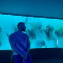 ���������� ������, ���� ������� �������, 32 ����, ������������ ��� ������, ����� � ���������, c�������� ���������