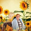  ,   , 51 ,     , 