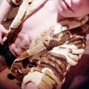 ���������� ������, ���� ����� Maks, 25 ���, ������������ ��� ������, ����� � ���������, c�������� ���������