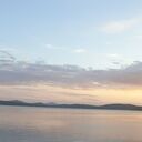 ���������� ������, ���� ������� �������, 31 ���, ������������ ��� ������, ����� � ���������