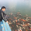  ,   Zohrab, 44 ,     , c 