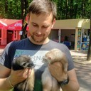 ���������� �����, ���� ������� ����, 31 ���, ������������ 