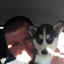 ���������� �������, ���� ������� ���������, 44 ����, ������������ ��� ������, ����� � ���������, c�������� ���������